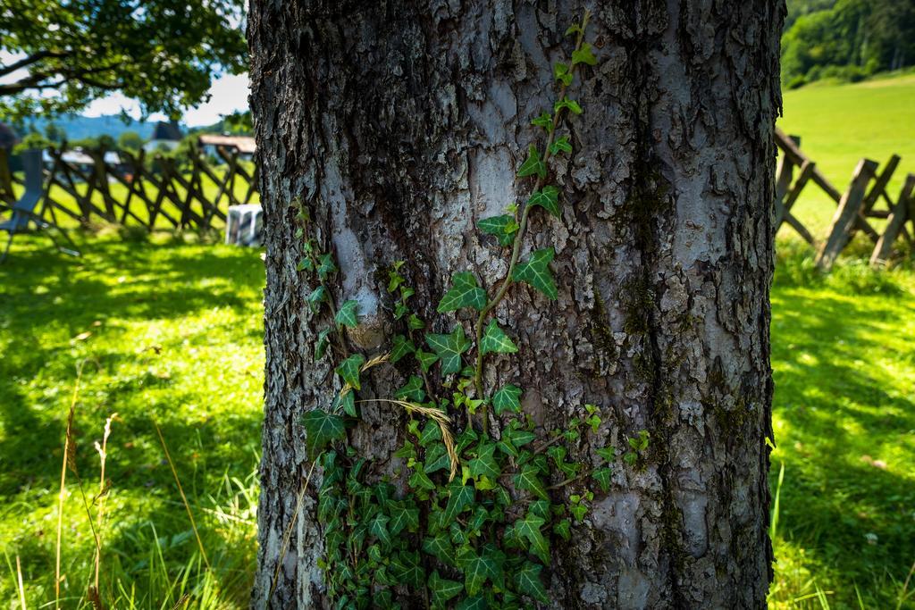 Hotel Garni Gablerhof バートライヘンハル エクステリア 写真